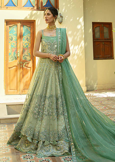 MISTY GREEN UY Collection MISTY GREEN UY Collection