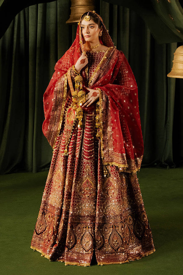 Bia Red  lehenga choli