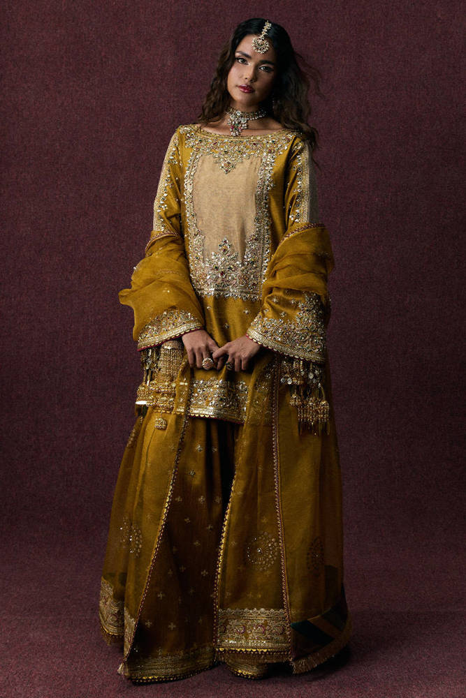 Bahar Begum
