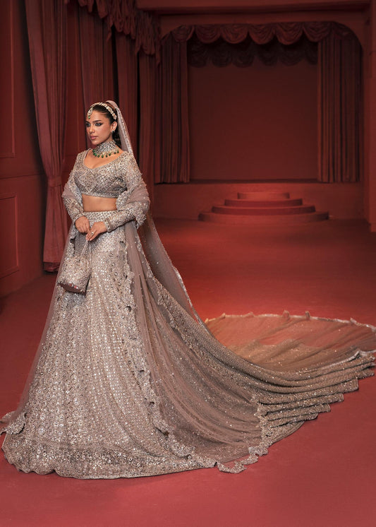 Pakistani Bridal Dress in Gown and Lehenga Veil Dupatta Style