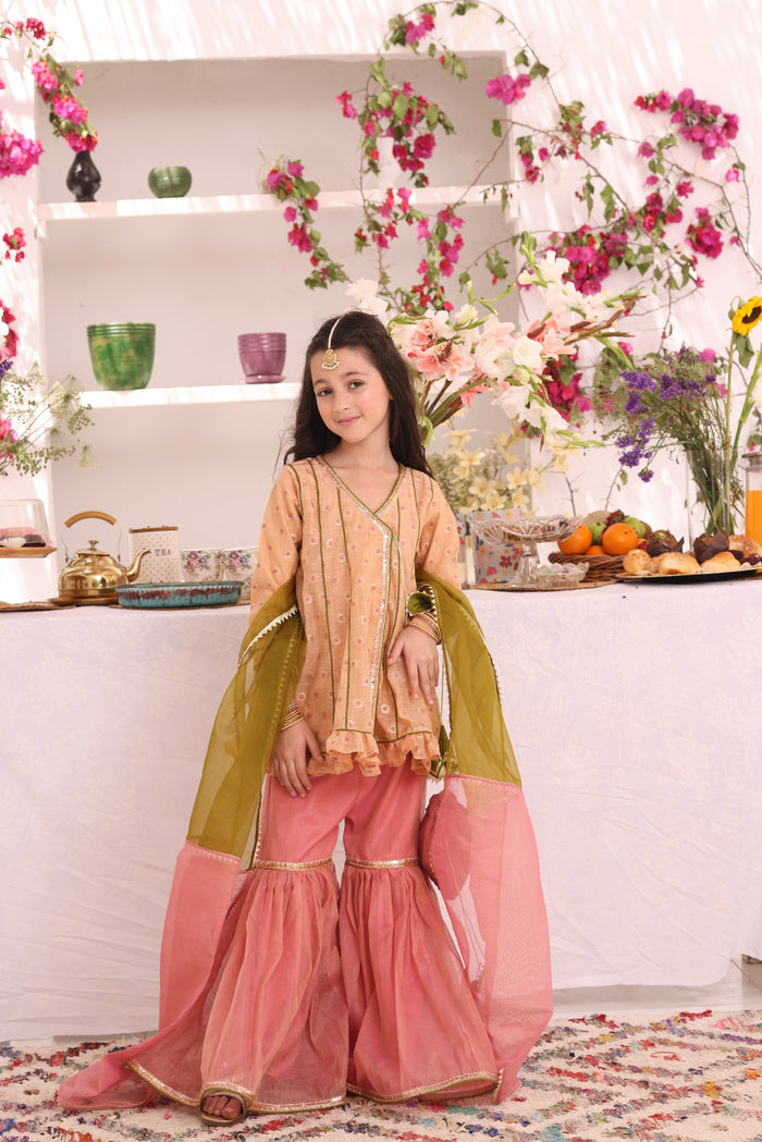 Cotton Lorex & Mesuri Gharara Suit