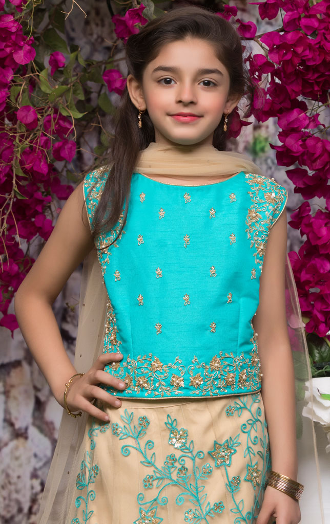 Embroidered Raw Silk Lehenga Choli