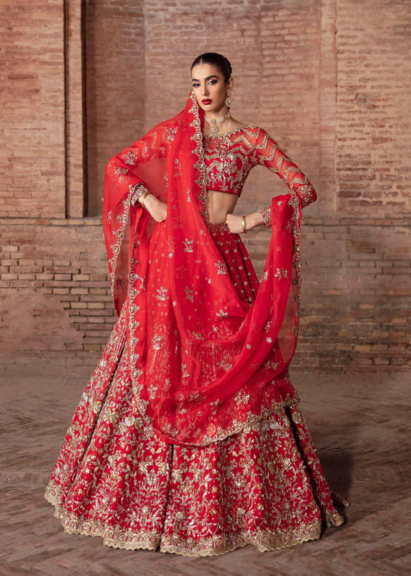 Pakistani Red Bridal lehenga Choli Organza Dupatta