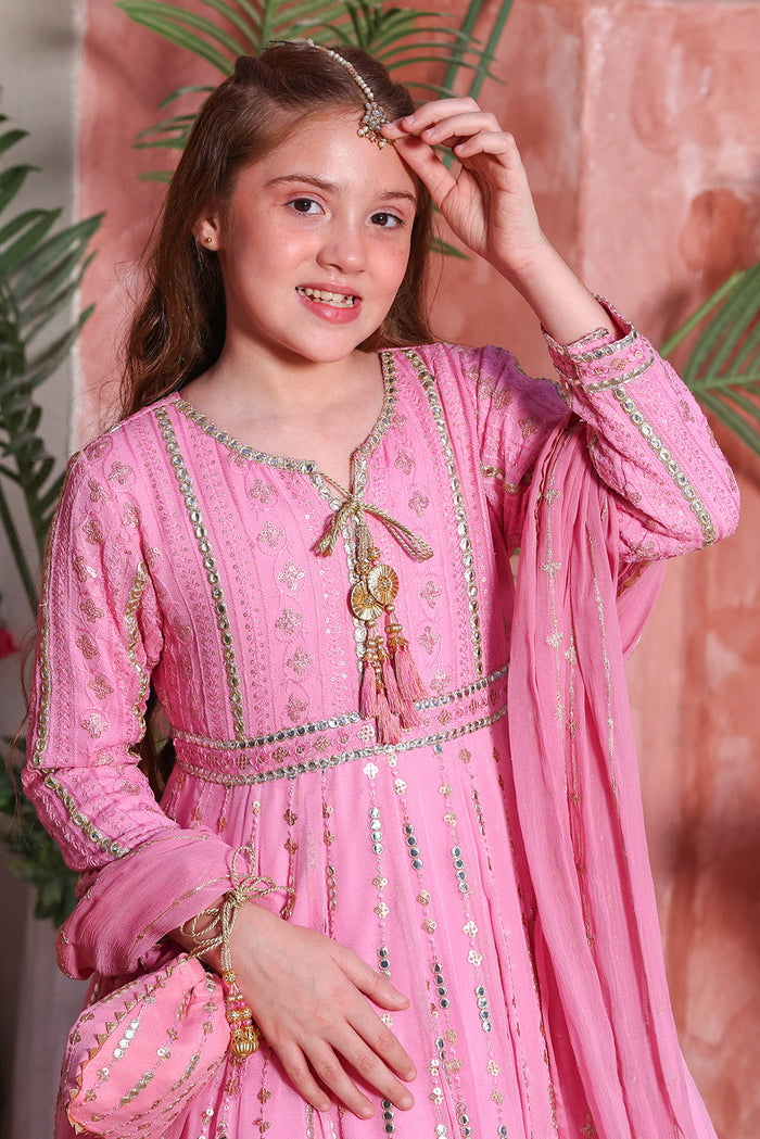 Flamingo Pink Embroidered Luxury Festive Chiffon Maxi