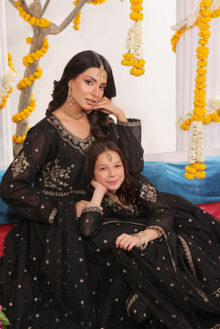 Zari Embroidered A Line Deluxe Net Maxi — Black Net Zari