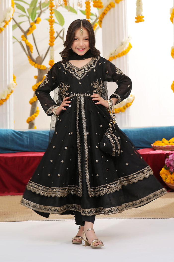 Zari Embroidered A Line Deluxe Net Maxi — Black Net Zari