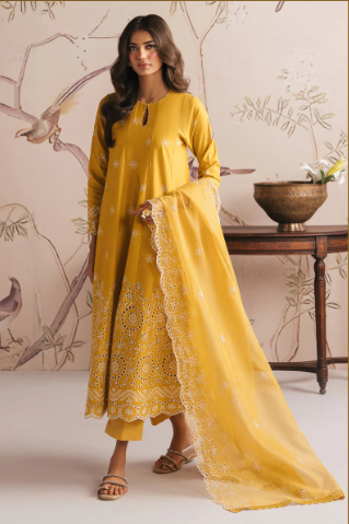 AMBER GLOW-3PC CHIKANKARI SUIT