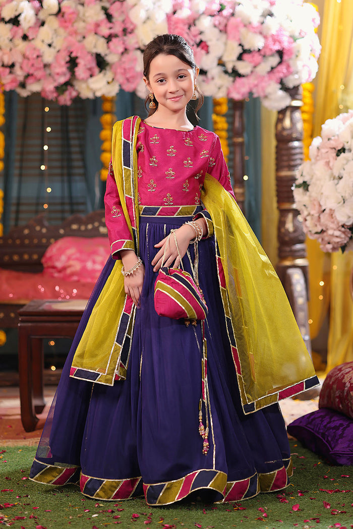 Handwork Embroidered Raw Silk & Net Lehenga Choli Shendi