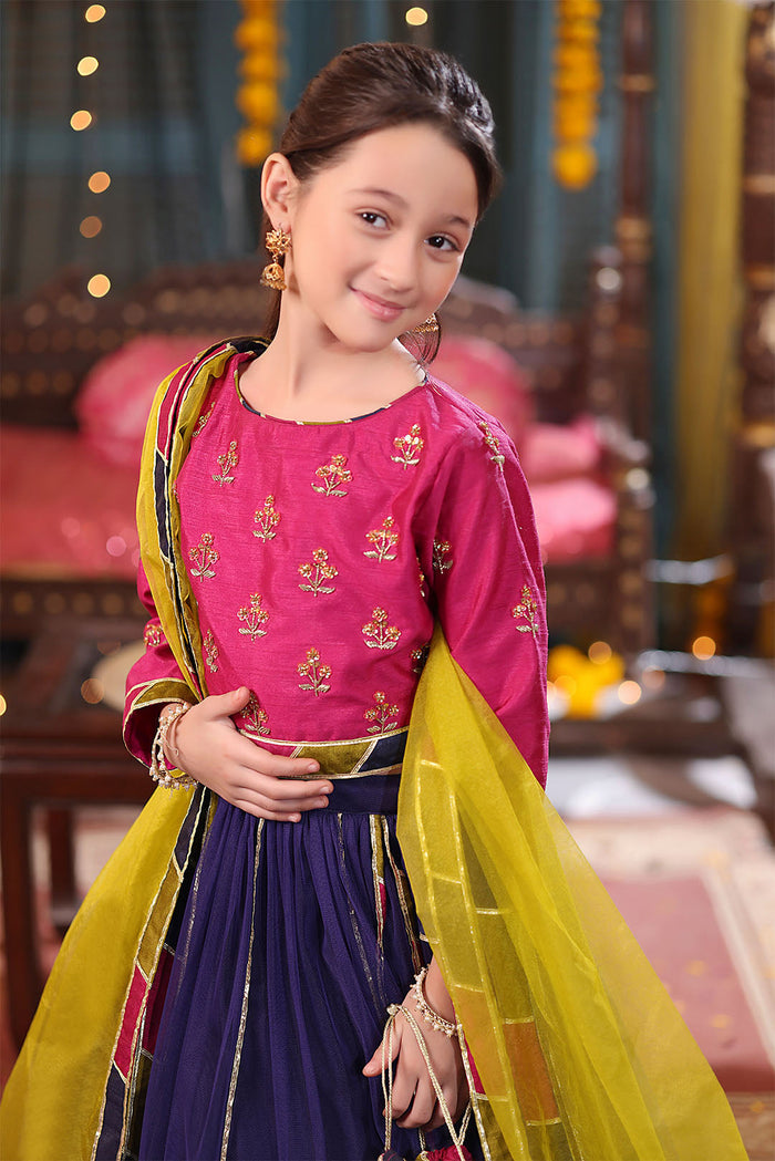 Handwork Embroidered Raw Silk & Net Lehenga Choli Shendi