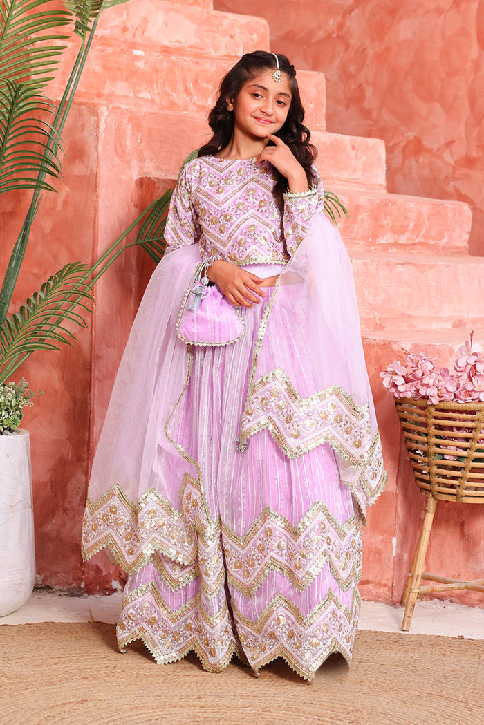 Lavender Chevron Embroidered Lehenga Choli Set with Dupatta & Potli