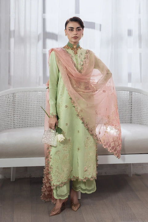 Lumière Silk – Rang Rasiya