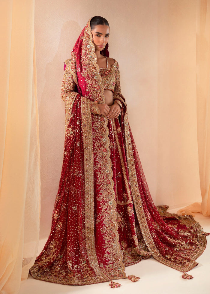 Cherry Red - Choli