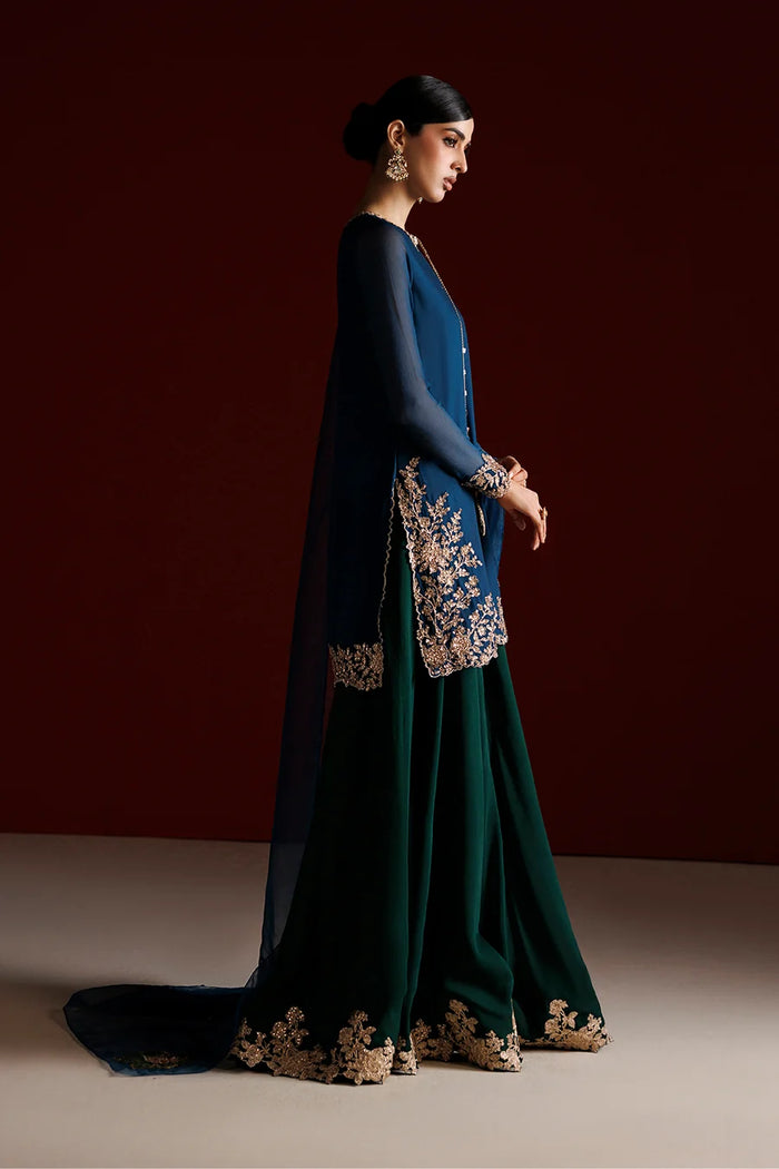 CC-102 Embroidered Chiffon