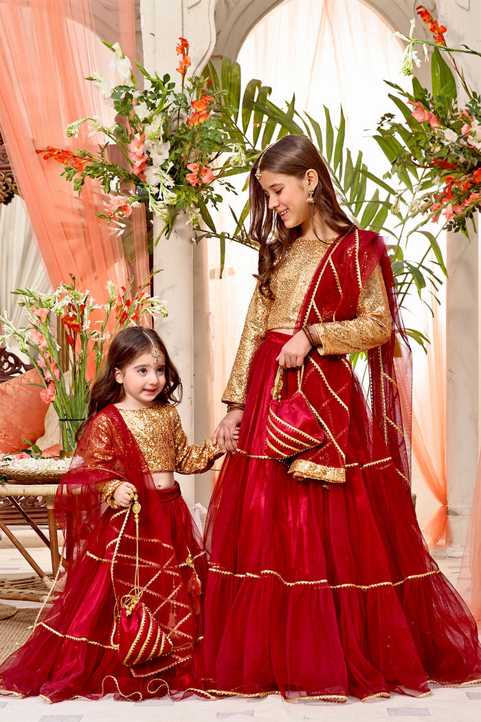 Sequins & Net Lehenga Choli — Red Gold Net