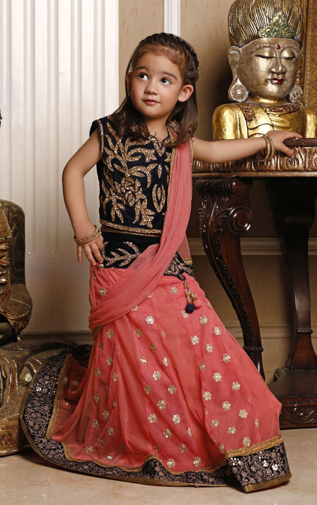 Embroidered Stoned Work Saree