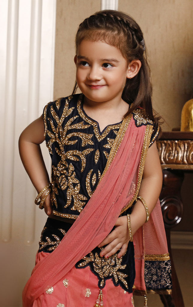 Embroidered Stoned Work Saree