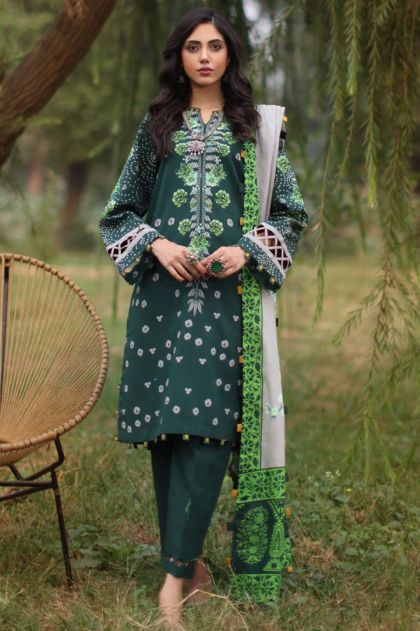 3-PC  Printed Khaddar Collection CPW4-14