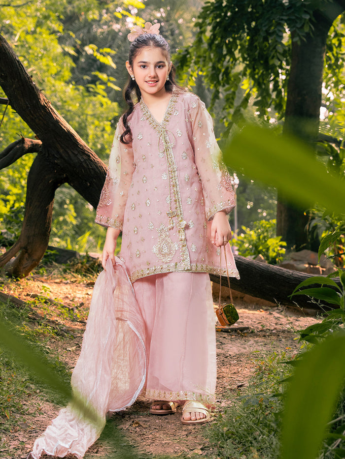 Organza Embroidered Angrakha Set