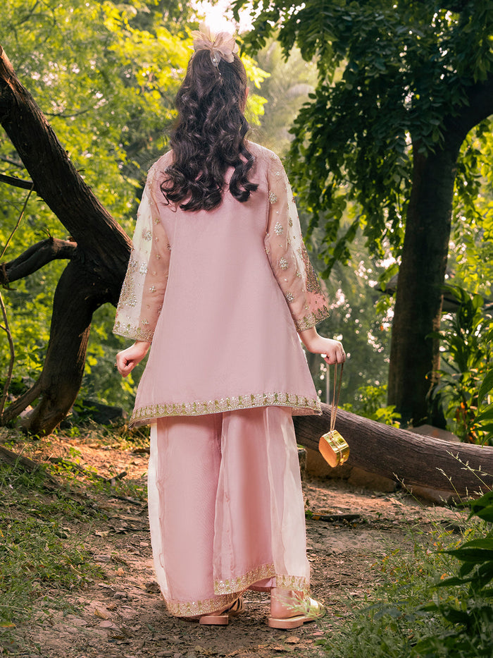 Organza Embroidered Angrakha Set