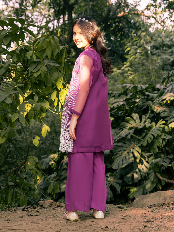 Organza Embroidered Gown Set
