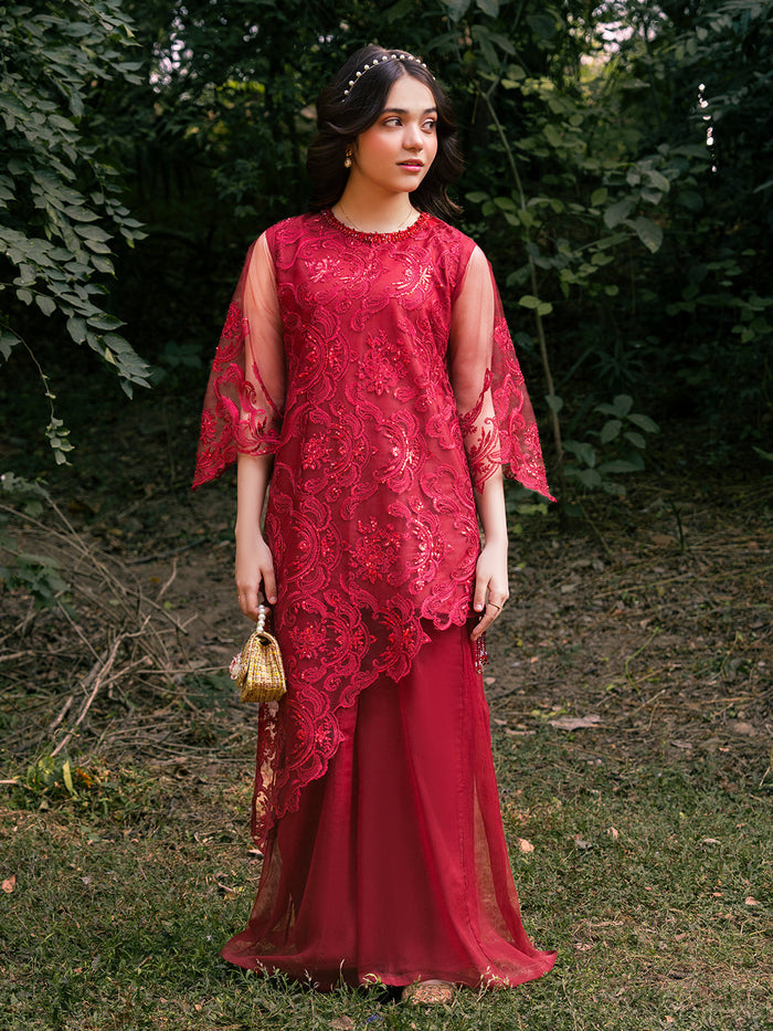 Net Embroidered Festive Suit