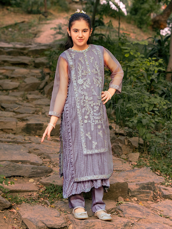 Net Embroidered Festive Suit