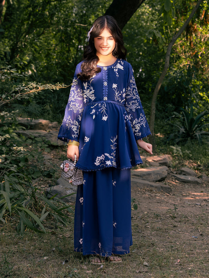 Chiffon Embroidered Peplum Set