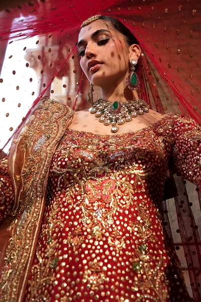 Aileen | Sunia Manahil Bridal Lehenga with Dual Dupattas