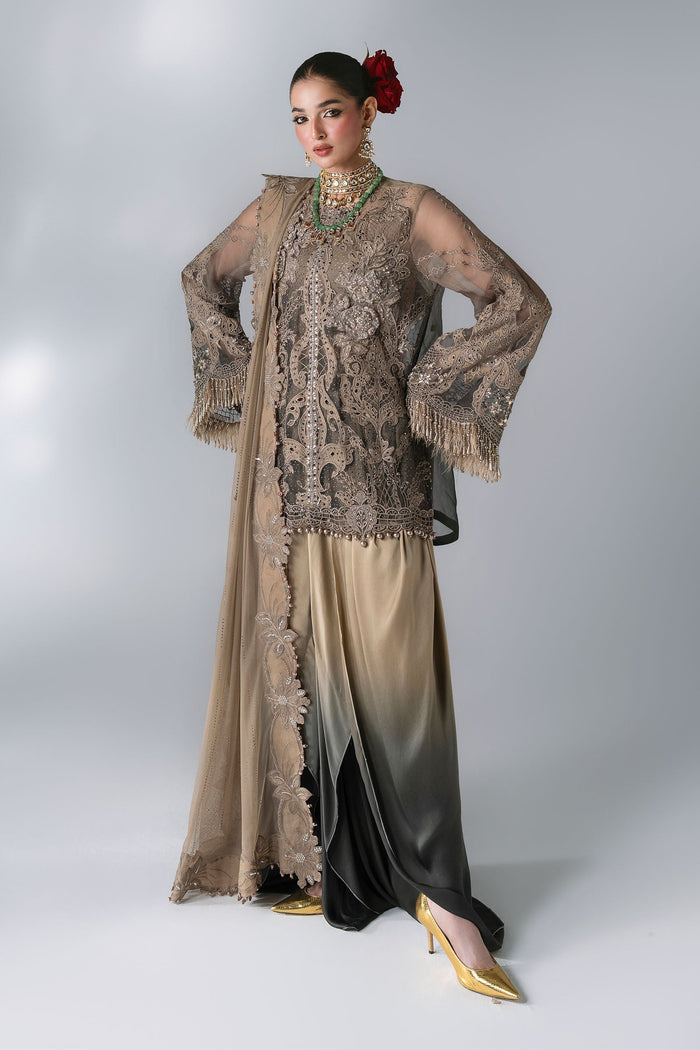 BD-3102 Coffee & Grey Embroidered Chiffon Suit