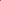 Maroon Scallop