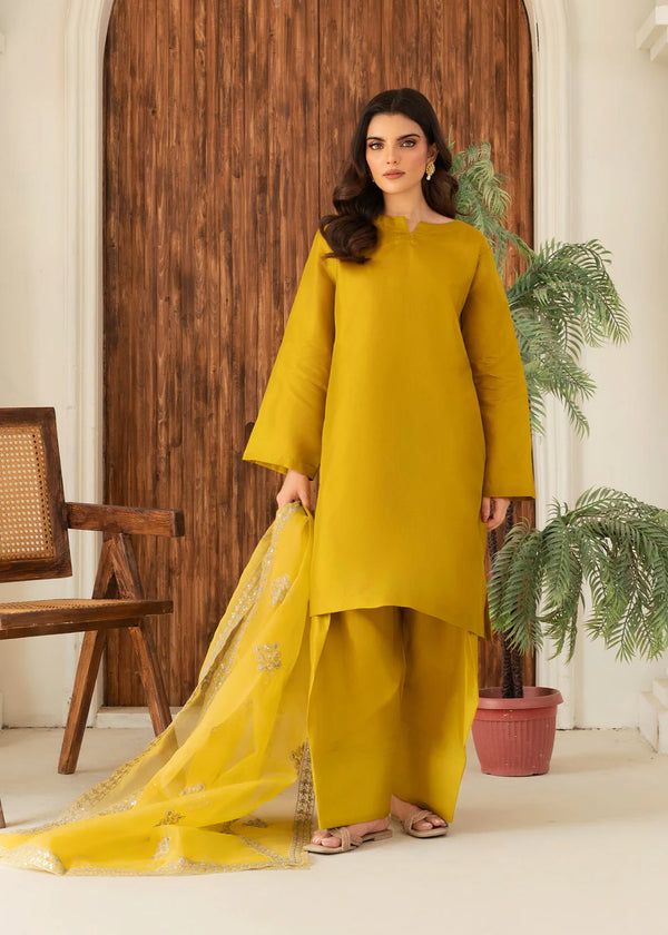 Farshi Shalwar 07