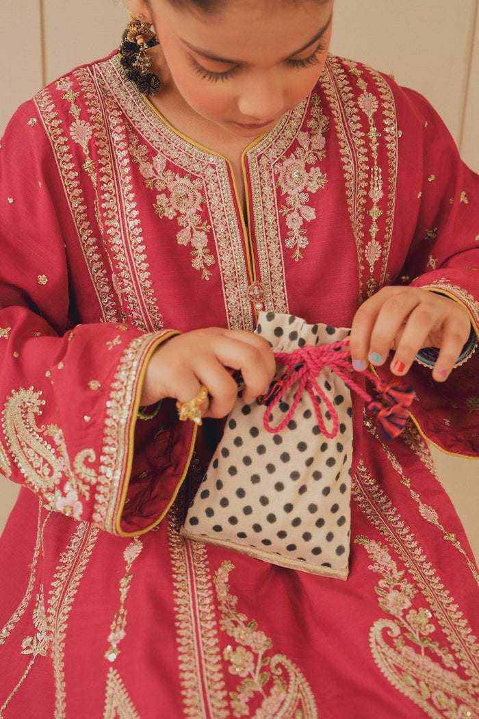 Wine Red Embroidered Suit