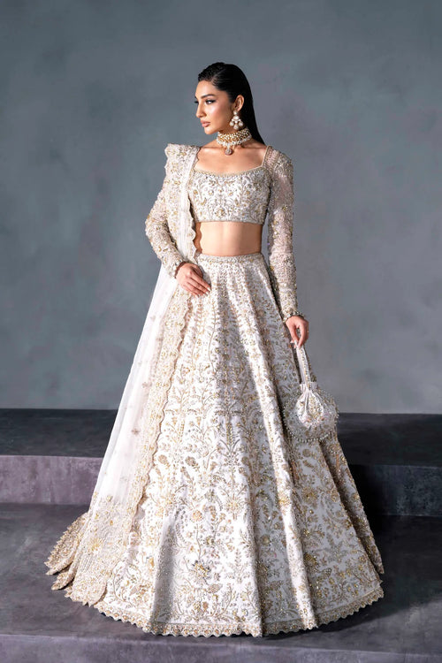 Walima Dress for Bride & Guest Dresses  Royal Elegance  UY Collection