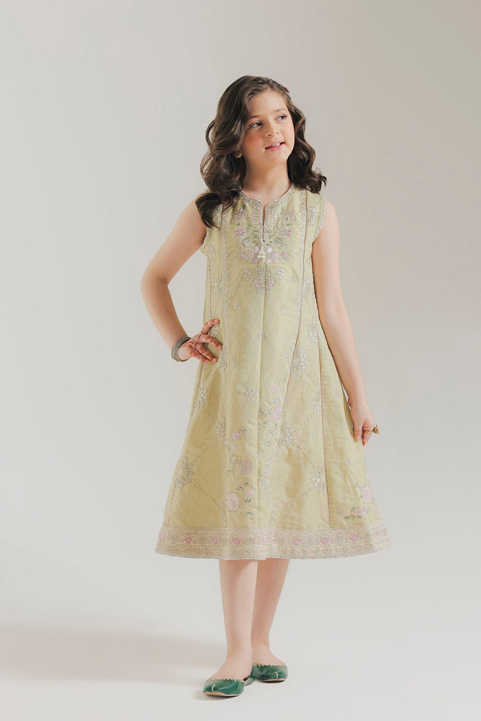 Pale Green Embroidered Dress