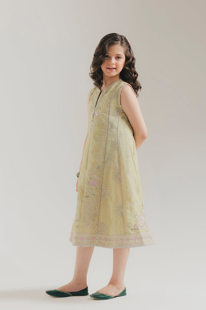 Pale Green Embroidered Dress