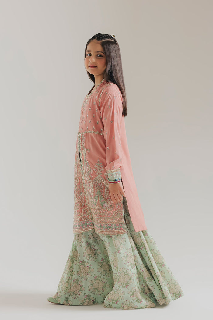 Baby Pink Embroidered Suit