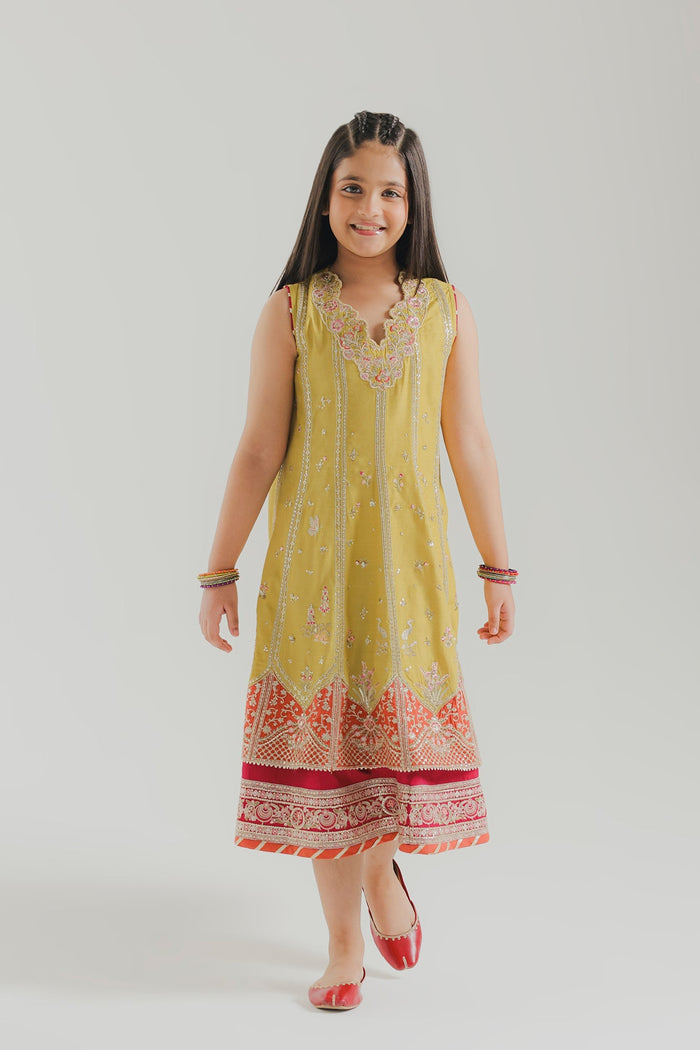 Lime Embroidered Dress