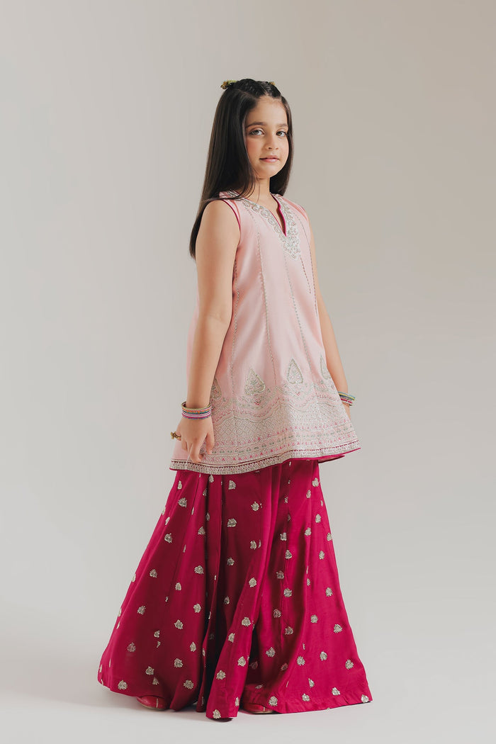 Pale Coral Embroidered Suit