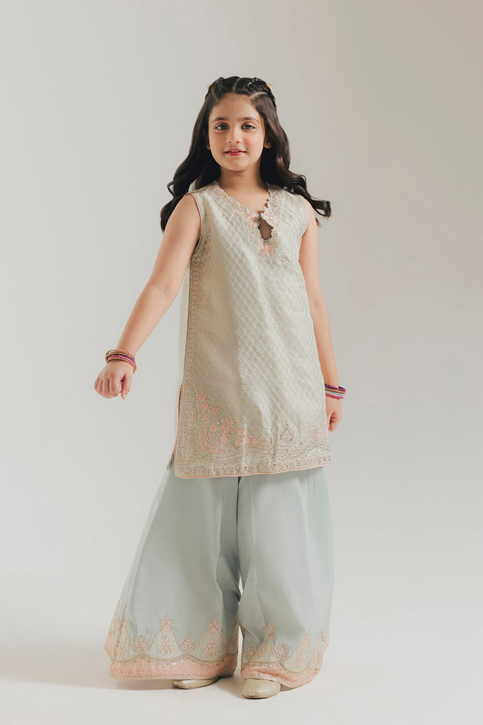 Pastel Green Embroidered Suit