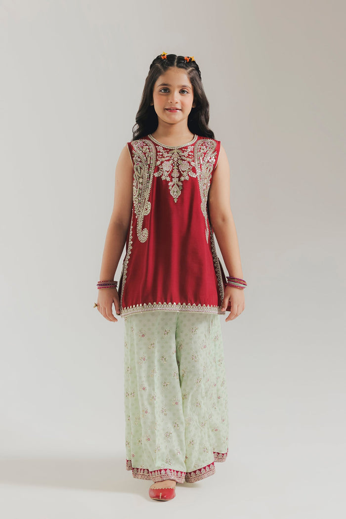 Brown Embroidered Suit