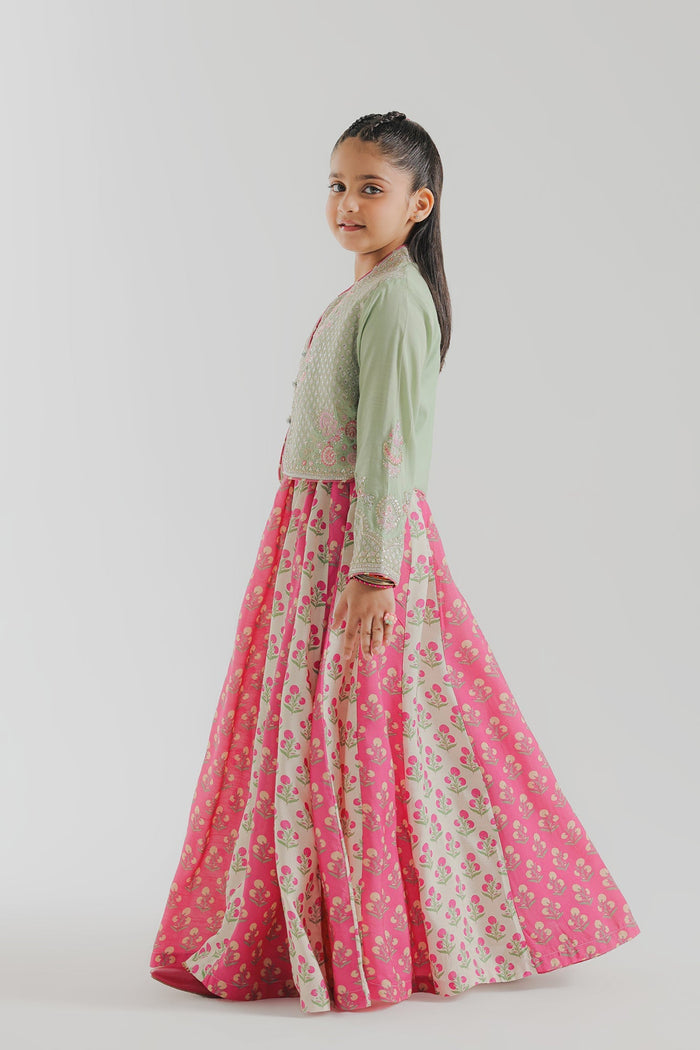 Pale Green Embroidered Suit