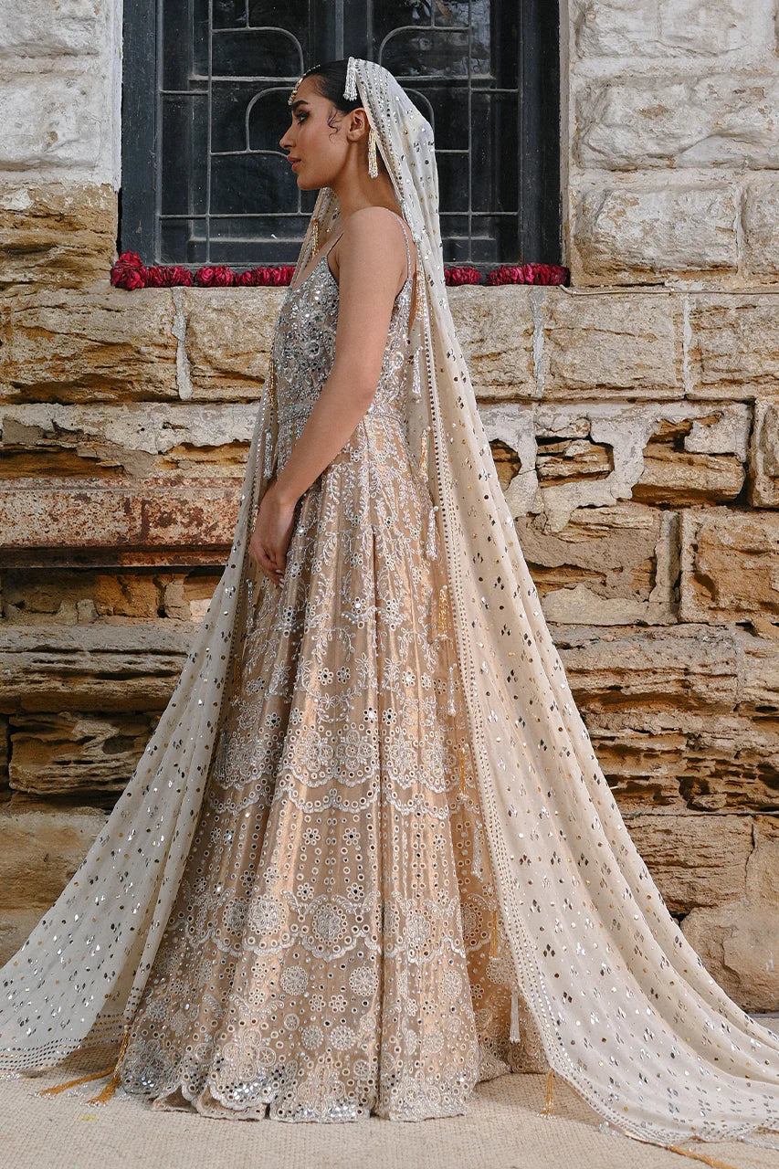 Pakistani Bridal Dress in Gown Dupatta Lehenga Style