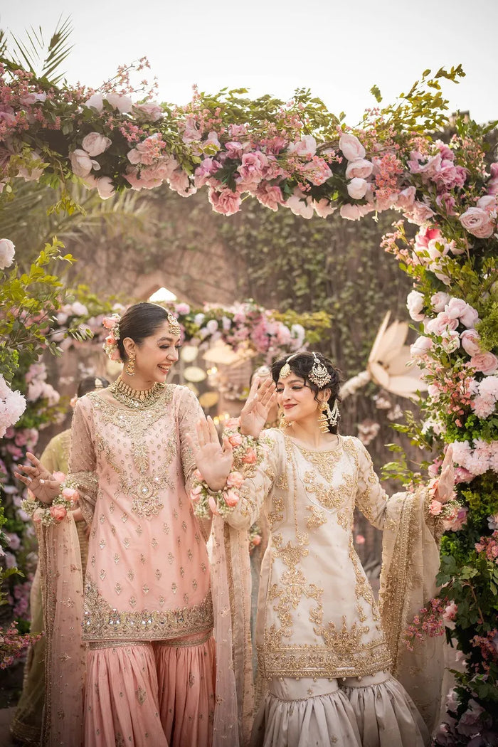 Haani