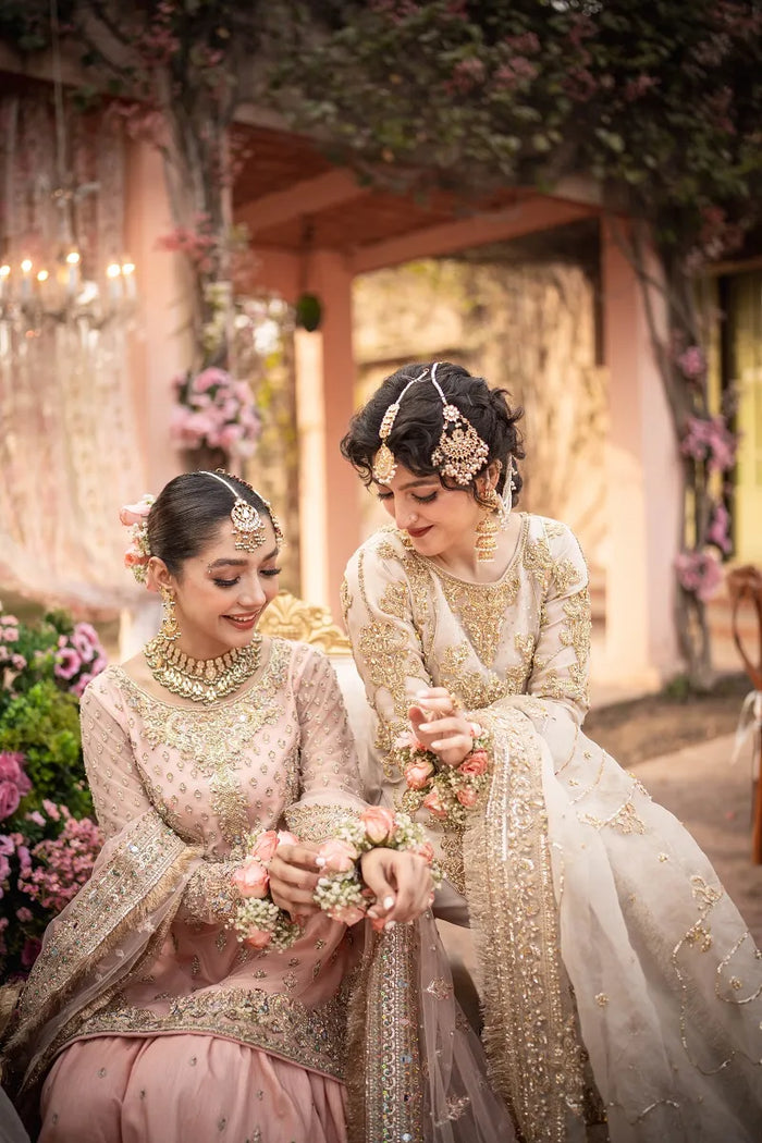Haani