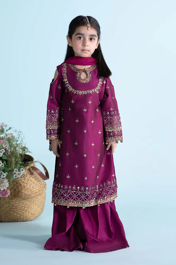 3 PIECE EMBROIDERED COTTON SILK SUIT | MKS-EA24-13