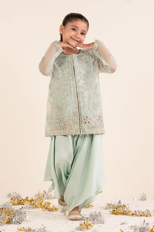 2 Piece Embroidered Organza Suit