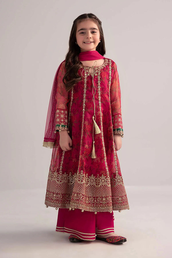 3 Piece Embroidered Poly Organza Suit