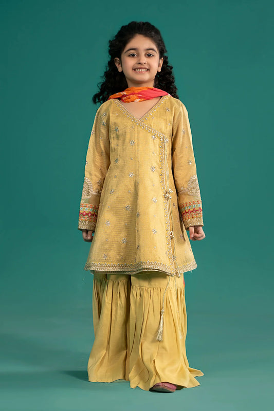 3 Piece Embroidered Cotton Zari Net Suit