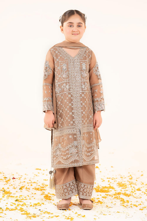 3 Piece Embroidered Organza Suit