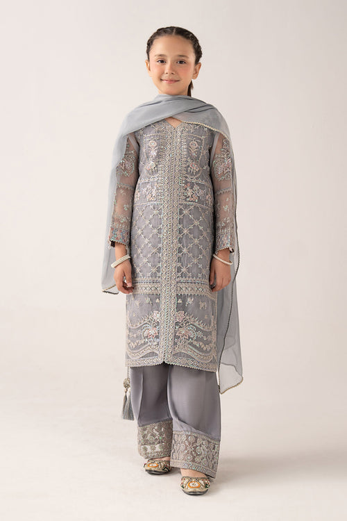 3 Piece Embroidered Organza Suit